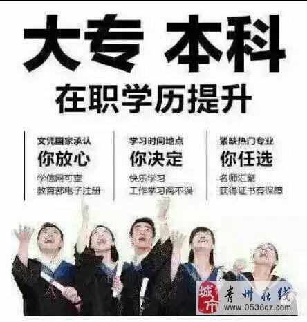 成人大专最新视频,最新视频深度解析