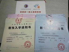 成人大专最新视频,最新视频深度解析