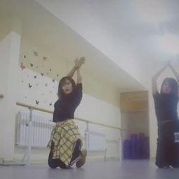 成人学生学习的视频,探索成人学生视频学习的奥秘与启示