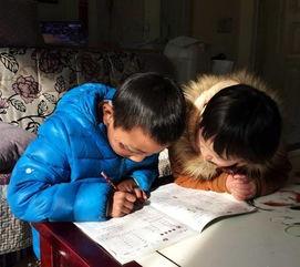 成人学生学习的视频,探索成人学生视频学习的奥秘与启示