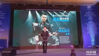 成人魔法教学视频,视频教程深度解析