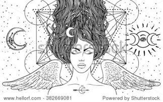 成人填色绘画视频,轻松绘制成人填色绘画作品