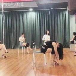 成人 武术舞蹈视频下载