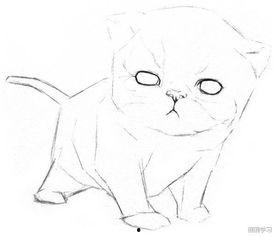 小猫变成人素描视频教程,跟随素描教程变身小猫变人奇遇记