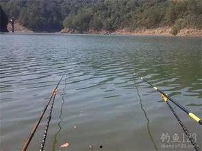 成人帆布池钓鱼视频大全,成人帆布池钓鱼视频大全精选集锦