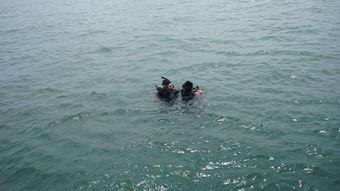 成人帆布池钓鱼视频大全,成人帆布池钓鱼视频大全精选集锦