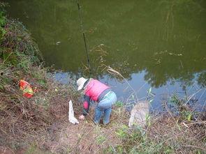 成人帆布池钓鱼视频大全,成人帆布池钓鱼视频大全精选集锦