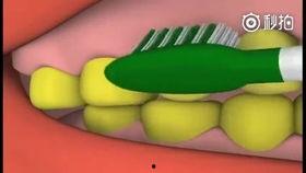 成人正确的刷牙方法视频,守护口腔健康