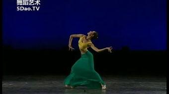 傣族独舞成人完整版视频