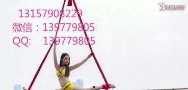 成人简单的凳子舞视频,跟随简单凳子舞视频，轻松舞动身心