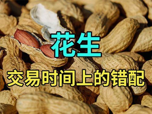 成人极品久久视频,一场视觉与情感的盛宴