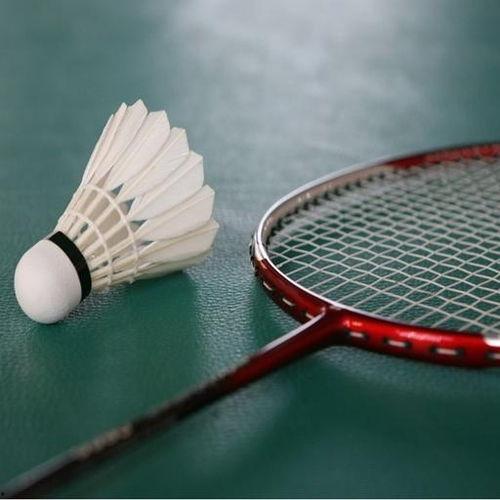 成人趣味羽毛球教学视频,趣味羽毛球教学视频攻略